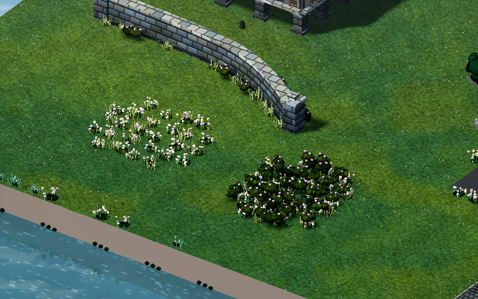 White flowers in a meadow beside a curved stone wall, with a denser flowering bush nearby.